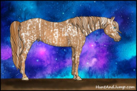 Horse Color:Chocolate Palomino Pearl Sabino Appaloosa Rabicano  Brindle