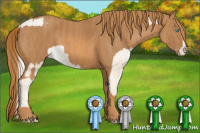 Horse Color:Chocolate Palomino Pearl Mushroom Sabino Appaloosa Rabicano  Brindle