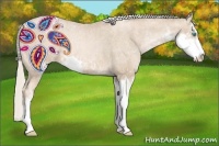 Horse Color:Chocolate Palomino Pearl Sabino Varnish Rabicano  Brindle
