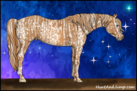 Horse Color:Chocolate Palomino Pearl Sabino Splash Appaloosa Rabicano  Brindle
