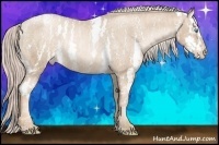 Horse Color:Chocolate Palomino Pearl Sabino Appaloosa Rabicano  Brindle