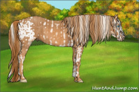 Horse Color:Chocolate Palomino Pearl Sabino Appaloosa Rabicano  Brindle