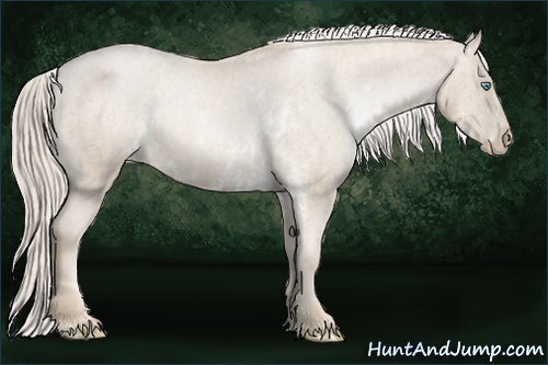 Horse Color: Chocolate Palomino Pearl Mushroom Sabino Varnish Rabicano  Brindle