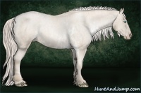 Horse Color:Chocolate Palomino Pearl Mushroom Sabino Varnish Rabicano  Brindle