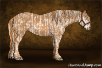 Horse Color:Chocolate Palomino Pearl Sabino Appaloosa Rabicano  Brindle