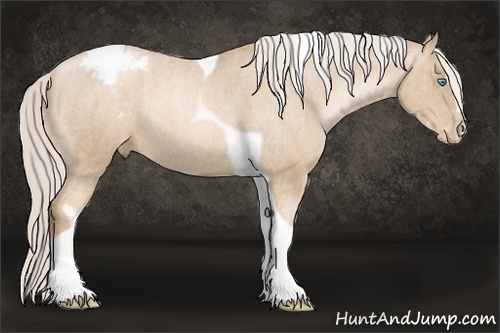 Horse Color: Chocolate Palomino Pearl Sabino Tobiano Snowcap Rabicano  Brindle