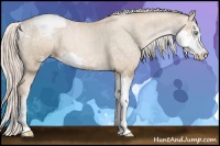 Horse Color:Chocolate Palomino Pearl Sabino Snowcap Rabicano  Brindle