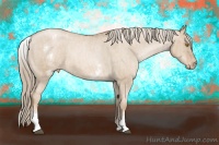 Horse Color:White Spotted Liver Red Dun Pearl Sabino Varnish Rabicano  Brindle