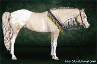 Horse Color:White Spotted Chocolate Palomino Pearl Sabino Appaloosa Rabicano  Brindle