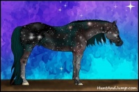 Horse Color:ERROR: UNKNOWN ANOMALY Brindle