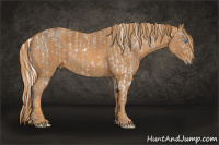 Horse Color:White Spotted Chocolate Palomino Ice Pearl Mushroom Sabino Appaloosa Rabicano Brindle