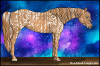 Horse Color:Chocolate Palomino Pearl Dun Sabino Varnish Rabicano Brindle