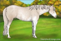 Horse Color:Chocolate Palomino Pearl Sabino Snowcap Rabicano  Brindle