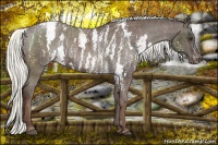 Horse Color:Liver Chestnut Mushroom Sabino Snowcap  Brindle