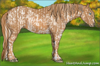 Horse Color:Chocolate Palomino Pearl Sabino Appaloosa Rabicano  Brindle