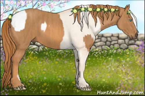 Horse Color: Chocolate Palomino Pearl Dun Sabino Snowcap Rabicano  Brindle