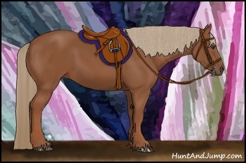 Horse Color: Chestnut 
