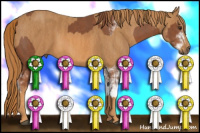 Horse Color:Liver Chestnut Sabino Rabicano  Brindle