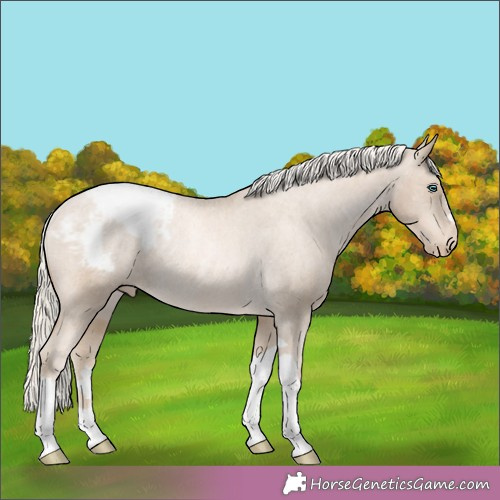 Horse Color:Chocolate Palomino Pearl Mushroom Sabino Snowcap Rabicano  and Chocolate Palomino Pearl Mushroom Sabino Snowcap Rabicano 