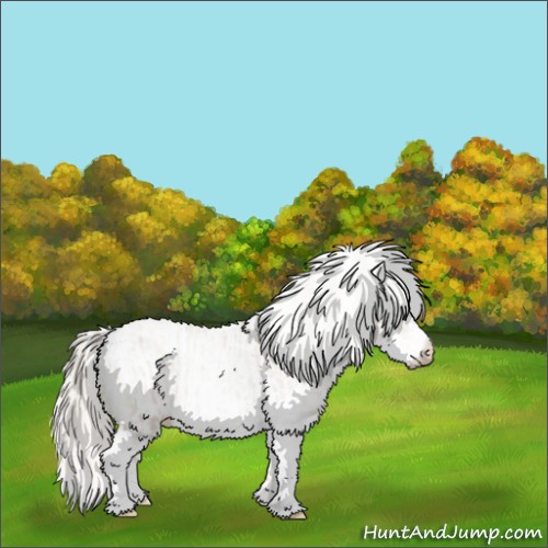 Horse Color:Chocolate Palomino Pearl Mushroom Sabino Appaloosa Rabicano  and Chocolate Palomino Pearl Mushroom Sabino Appaloosa Rabicano 