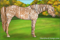 Horse Color:Chocolate Palomino Pearl Sabino Appaloosa Rabicano  Brindle