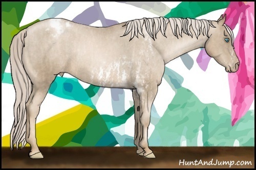 Horse Color: Chocolate Palomino Pearl Sabino Snowcap Rabicano  Brindle