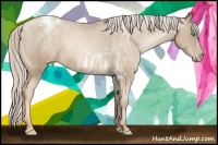 Horse Color:Chocolate Palomino Pearl Sabino Appaloosa Rabicano  Brindle
