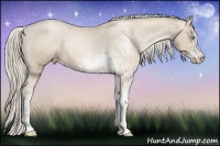 Horse Color:Chocolate Palomino Pearl Sabino Appaloosa Rabicano  Brindle