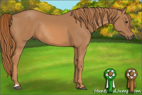 Horse Color: Chestnut Rabicano 