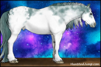 Horse Color:Watercolor White Spotted Blue Roan Splash Frame Appaloosa