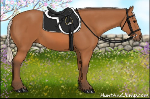 Horse Color: Silver Bay 
