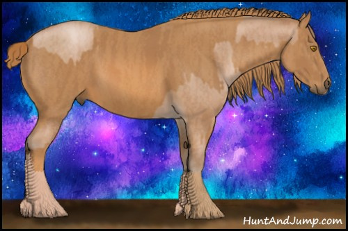 Horse Color: Bay Pearl Sabino Rabicano  Brindle