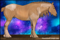 Horse Color:Bay Pearl Sabino Rabicano  Brindle