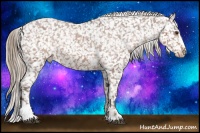 Horse Color:Liver Chestnut Sabino Appaloosa Rabicano  Brindle