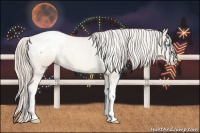 Horse Color:Chocolate Palomino Pearl Dun Sabino Appaloosa Rabicano  Brindle