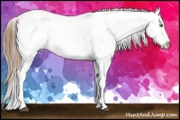 Horse Color:Liver Red Roan Pearl Sabino Snowcap Rabicano  Brindle