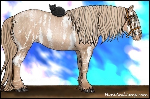 Horse Color: Liver Chestnut Pearl Sabino Snowcap Rabicano  Brindle