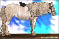 Horse Color:Liver Chestnut Pearl Sabino Appaloosa Rabicano Brindle