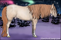 Horse Color:Sable Champagne Pearl Sabino Appaloosa Rabicano Brindle