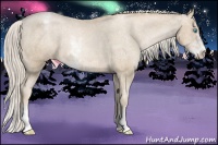 Horse Color:Chocolate Palomino Pearl Sabino Snowcap Rabicano  Brindle