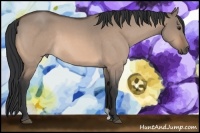 Horse Color:Bay Roan Dun