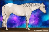 Horse Color:Chocolate Palomino Pearl Sabino Snowcap Rabicano  Brindle
