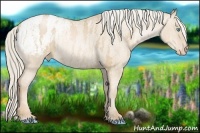 Horse Color:Chocolate Palomino Pearl Dun Sabino Snowcap Rabicano  Brindle