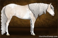 Horse Color:Chocolate Palomino Pearl Sabino Appaloosa Rabicano  Brindle