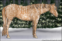 Horse Color:Chocolate Palomino Pearl Sabino Appaloosa Rabicano  Brindle
