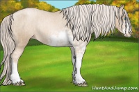Horse Color:Chocolate Palomino Pearl Sabino Varnish Rabicano  Brindle