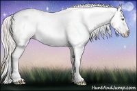 Horse Color:Silver Amber Champagne Roan Dun Splash Tobiano Frame Appaloosa Rabicano 