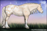 Horse Color:Palomino Pearl Sabino Blanket Rabicano 