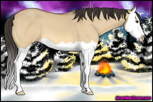 Horse Color: Buckskin Dun Splash 