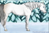 Horse Color:Gray Amber Champagne Splash